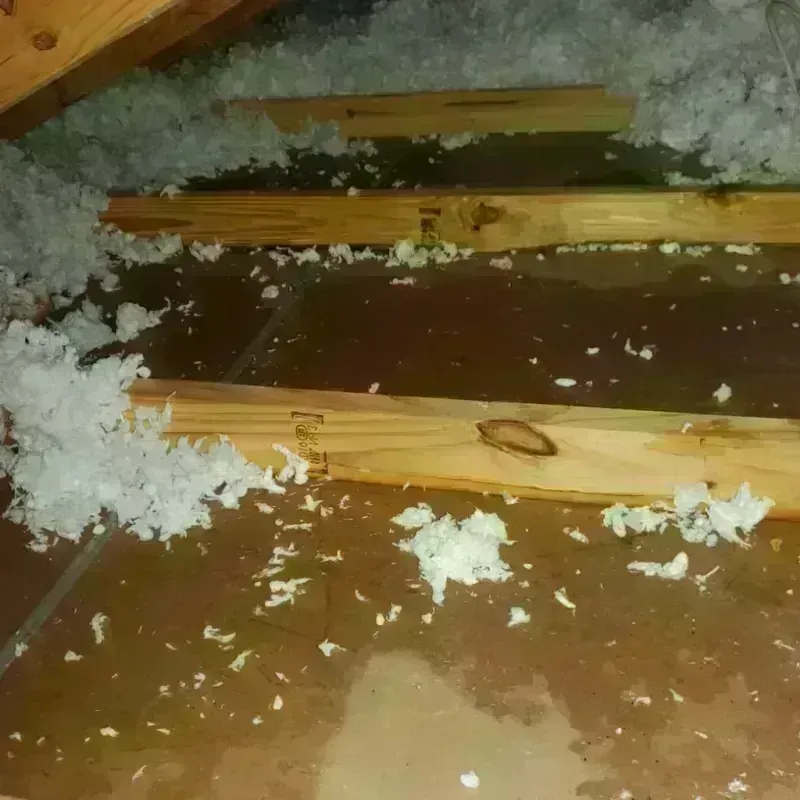 Attic Water Damage in Burnet County, TX