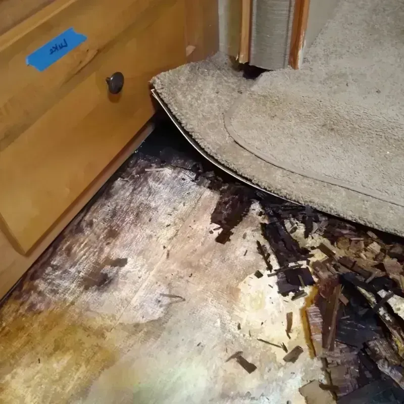 Best Wood Floor Water Damage Service in Burnet County, TX